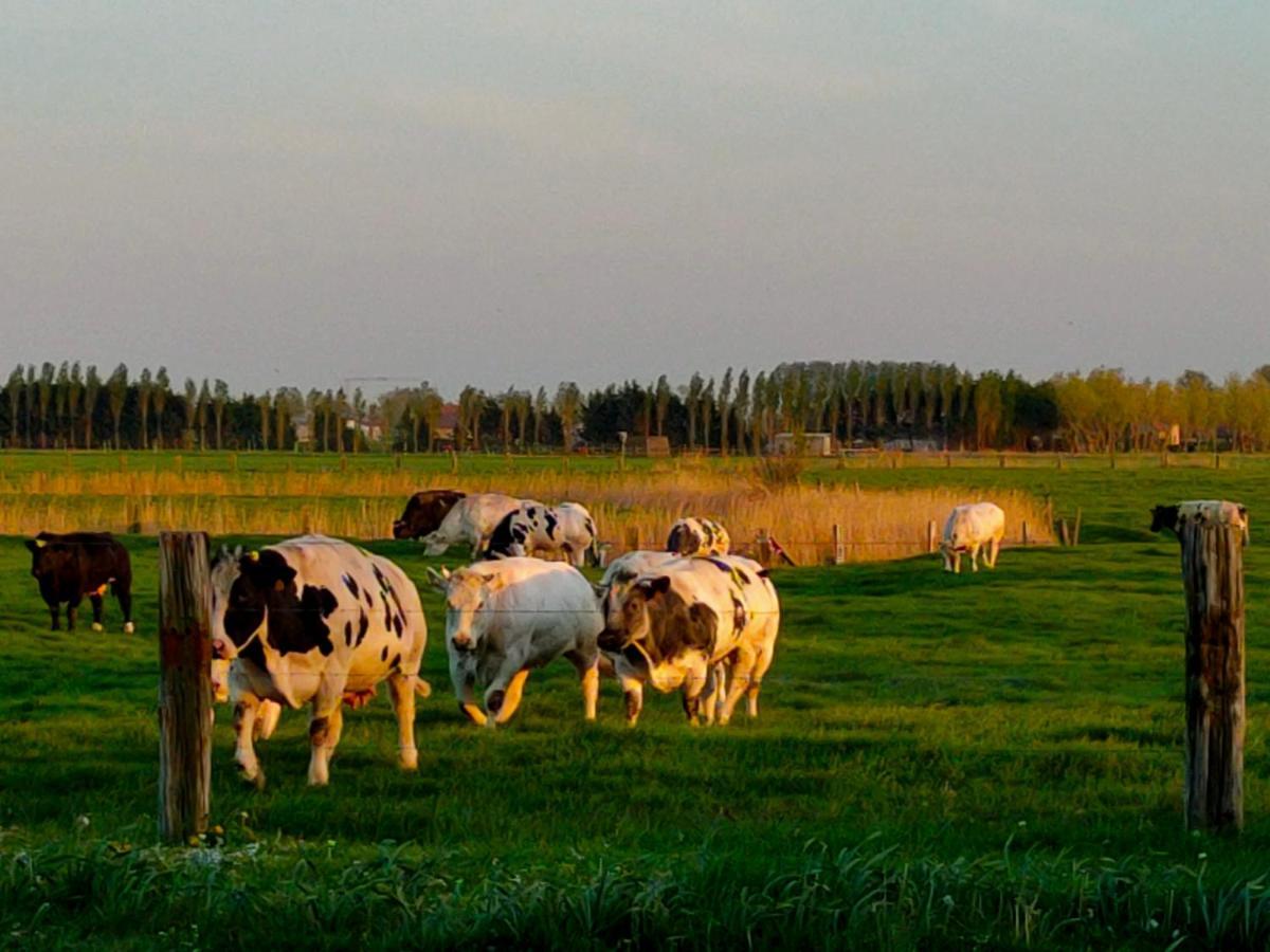 Gastenverblijf Hof Moye Tyt Middelkerke Exteriör bild